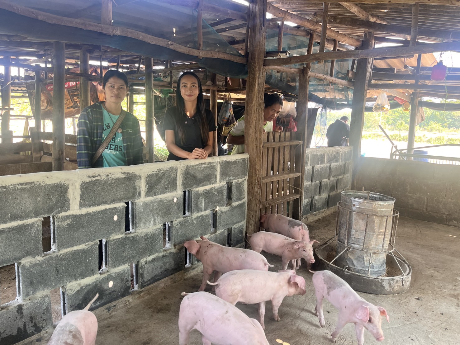 จังหวัดบุรีรัมย์- GROWTH Team Satuek+ - สพอ.สตึก ติดตามสนับสนุนกลุ่มสตรีที่ได้รับเงินสนับสนุนกอทุนพัฒนาบทบาทสตรี ในการต่อยอดอาชีพเลี้ยงสุกรเพื่อจำหน่าย บ้านคูขาด ม.6 ต.สตึก อ.สตึก จ.บุรีรัมย์